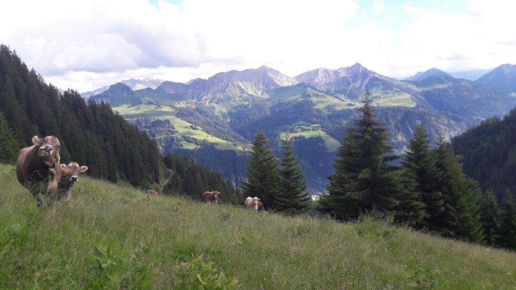 Berghaus Schafer Hotell Faschina Exteriör bild