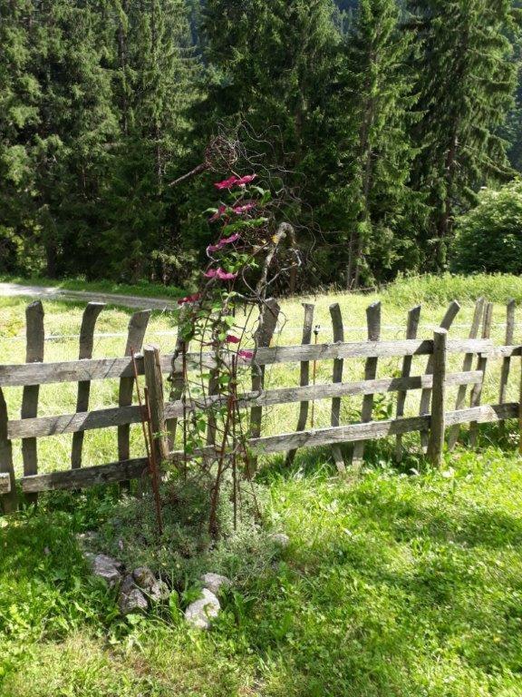 Berghaus Schafer Hotell Faschina Exteriör bild